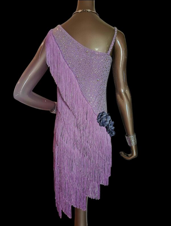 Asmira. Competition Latin/American Rhythm Dance Dress - Image 3